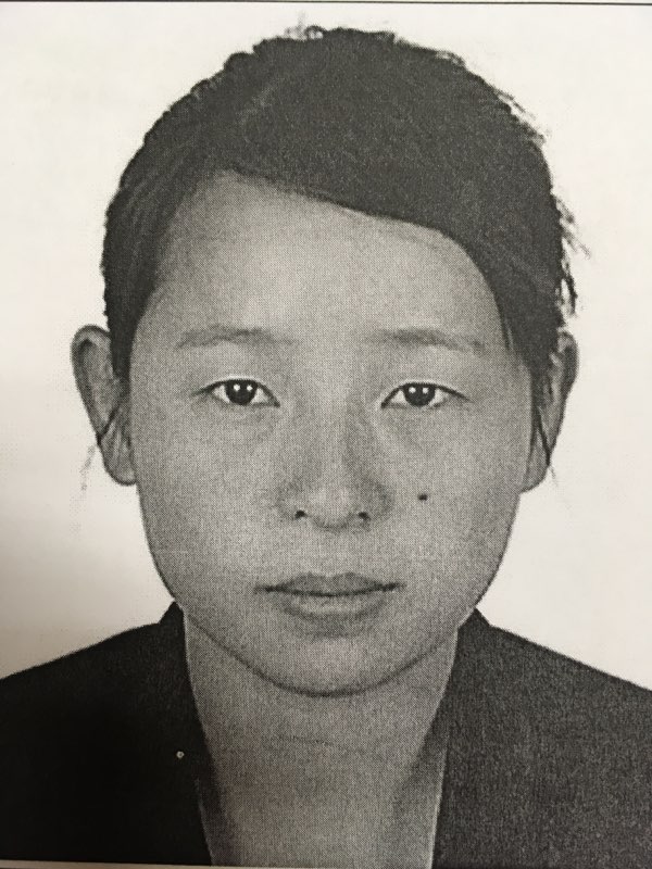 嫌疑人描述:丁俊莉,女,汉族,1994年10月10日生,户籍地河南省息县