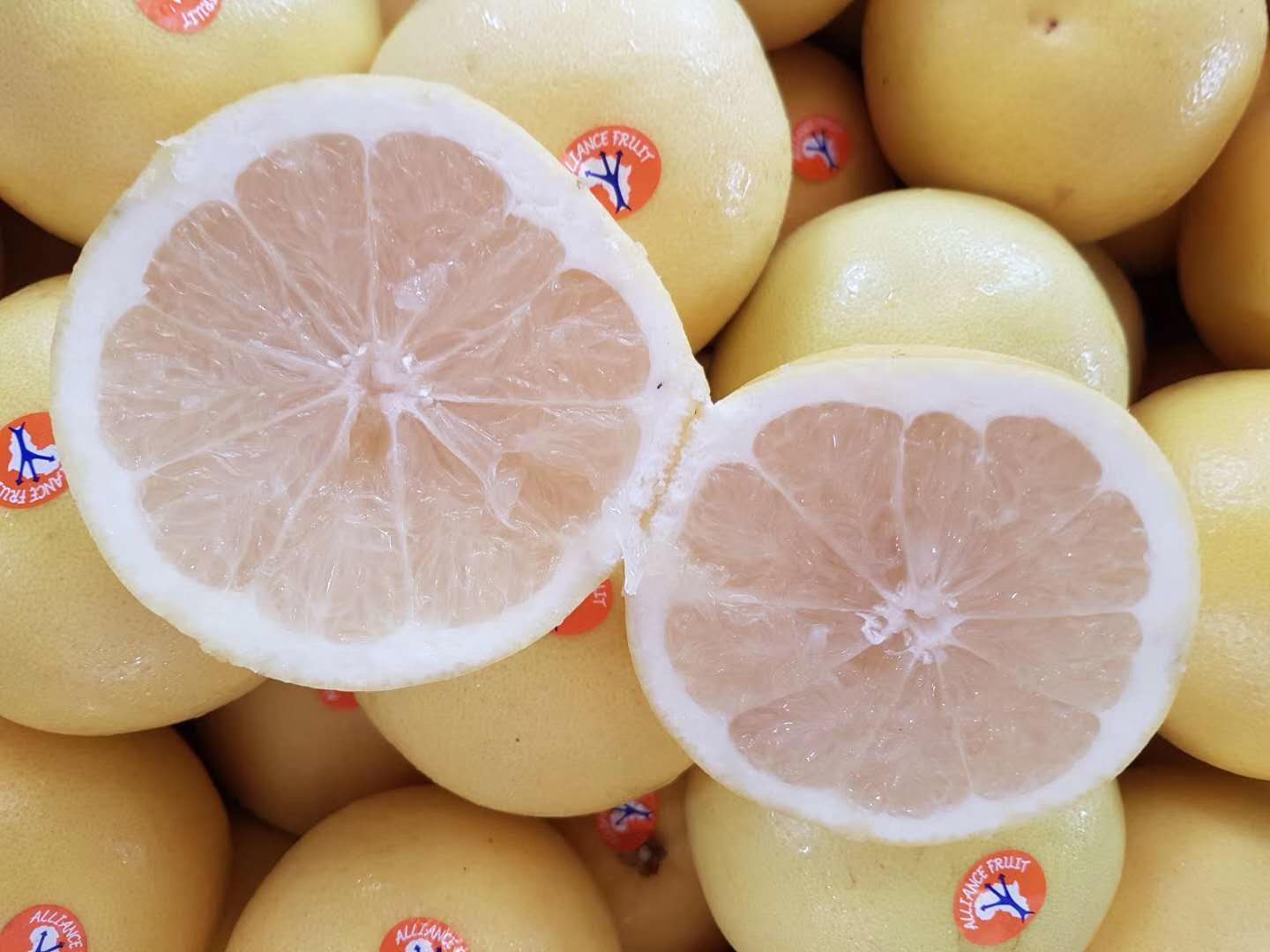 2018南非少核葡萄柚marsh进口水果批发货源白肉西柚6月尝鲜