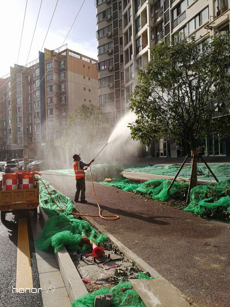 由于近期气温较高,对栽植的苗木进行喷水补充养分