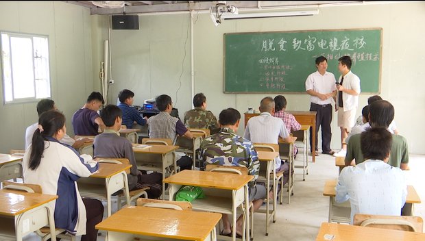 图片4