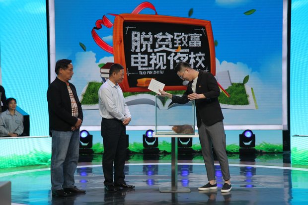 图片3